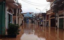 Quảng Ninh: 30 tỷ đồng hỗ trợ khắc phục bão số 14